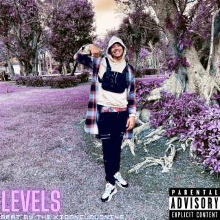 Levels