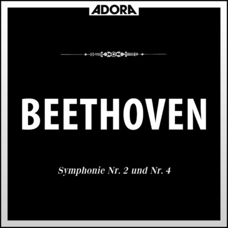 Sinfonie No. 4 für Orchester in B-Flat Major, Op. 60: IV. Allegro ma non troppo | Boomplay Music