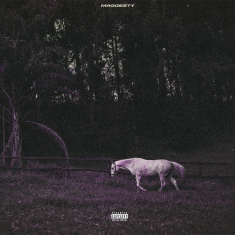 White Horse | Boomplay Music