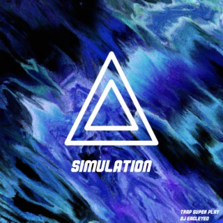 Simulation