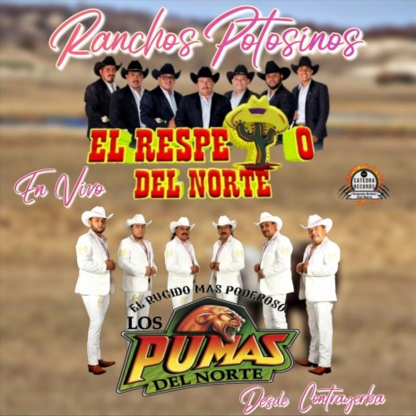 Ranchos Potosinos Desde Contrayerba (En Vivo) [feat. Los Pumas del Norte] | Boomplay Music