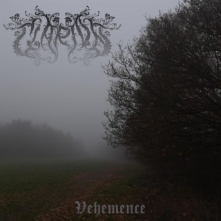 II Vehemence