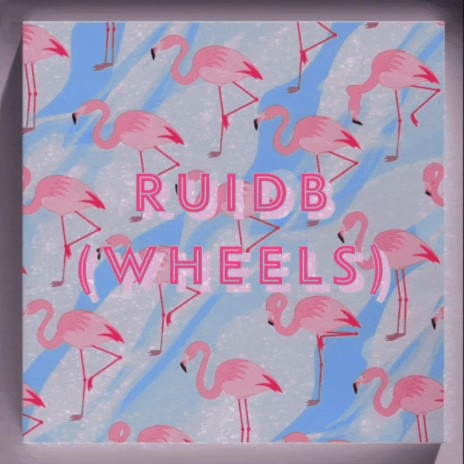 RUIDB (Wheels) ft. Rob Fishbeck | Boomplay Music