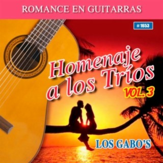 Homenaje A Los Trios, Vol. 3