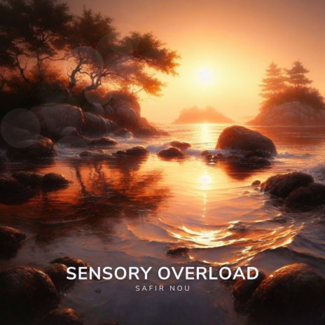 Sensory Overload | Boomplay Music