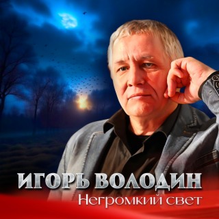 Негромкий свет