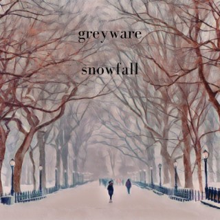 Snowfall