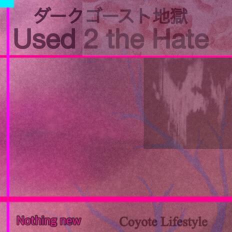 Used 2 the Hate | Boomplay Music