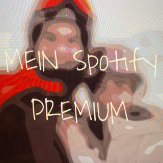 Mein Spotify Premium