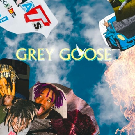 Grey Goose | Boomplay Music