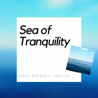 Sea of Tranquility: Shamanic Melodies