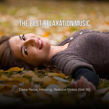 The Best Relaxation Music: Deep Relax, Healing, Reduce Stress, Vol. 16 | Boomplay Music