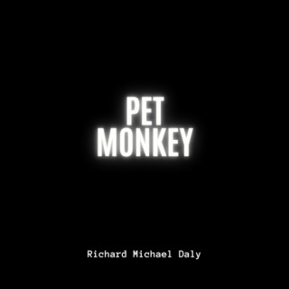 Pet Monkey