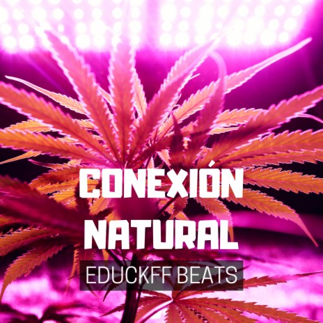 Conexión Natural | Boomplay Music