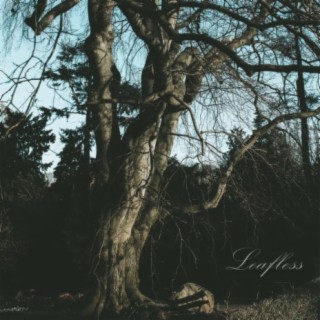 Leafless