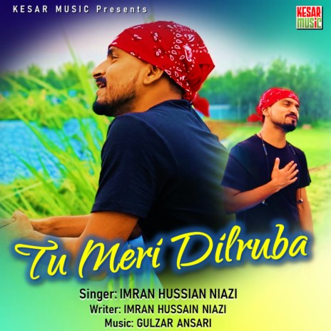 Tu Meri Dilruba Hai (Romantic Song) | Boomplay Music