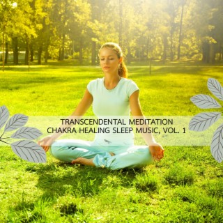 Transcendental Meditation Chakra Healing Sleep Music, Vol. 10