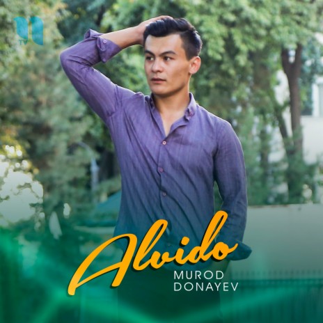 Alvido | Boomplay Music