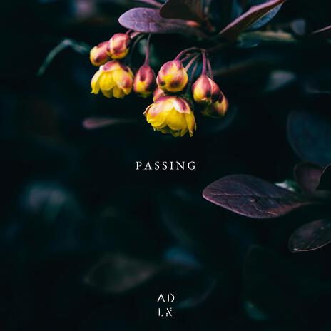 Passing | Boomplay Music