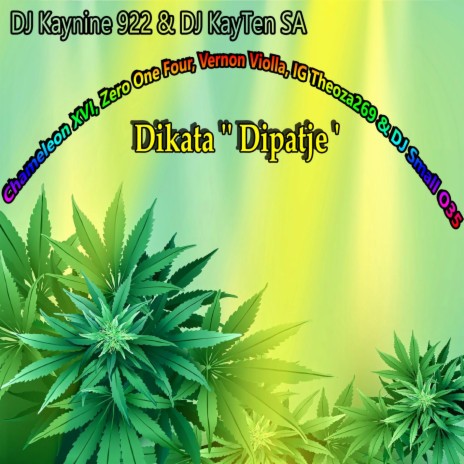 Dikata ''Dipatje'' (feat. Chameleon XVI, Zero One Four, Vernon Violla, IG Theoza269 & DJ Small O35) | Boomplay Music