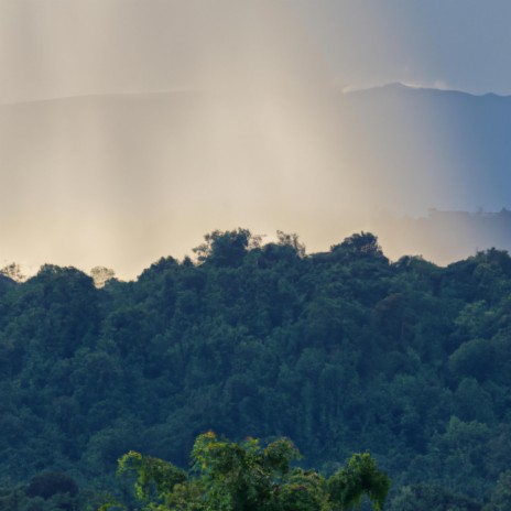 rain over the treehouse