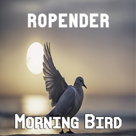 Morning Bird | Boomplay Music