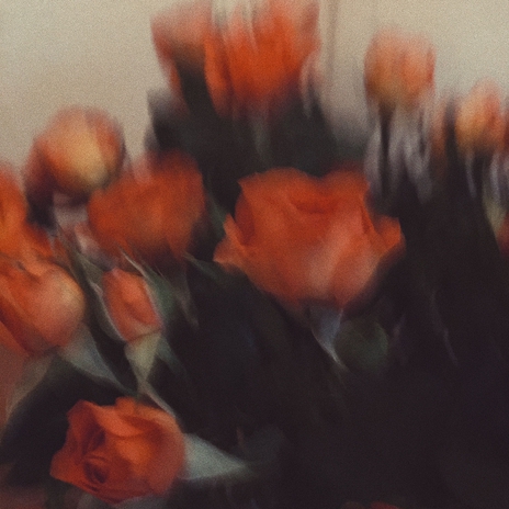 Red Roses | Boomplay Music