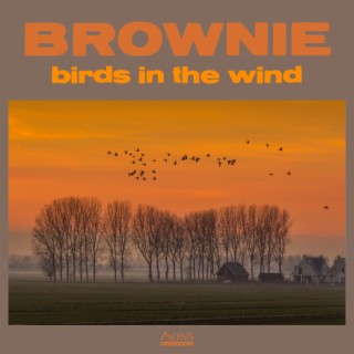 birds in the wind
