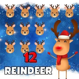 12 Reindeer