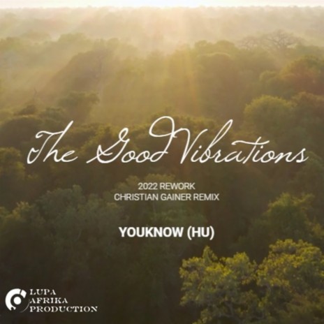 The Good Vibrations (Christian Gainer Remix)