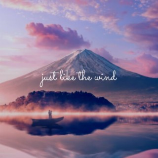 like the wind