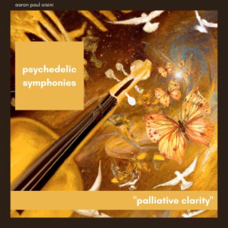 Palliative Clarity – a Psychedelic Symphonies Single | Boomplay Music