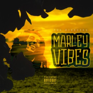 Marley Vibes lyrics | Boomplay Music
