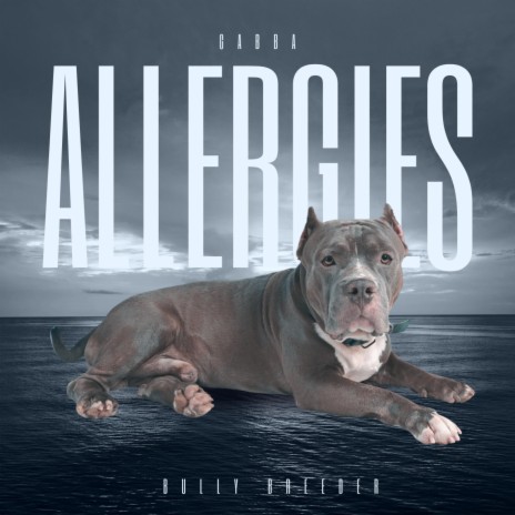 ALLERGIES | Boomplay Music