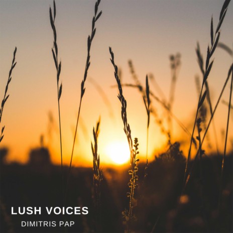 Lush Voices | Boomplay Music