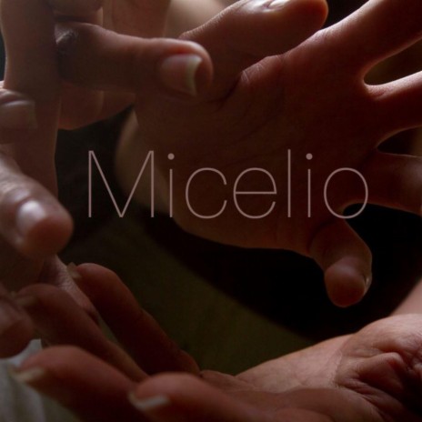 Micelio | Boomplay Music