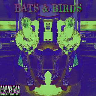 Bats & Birds