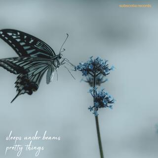 Pretty Things