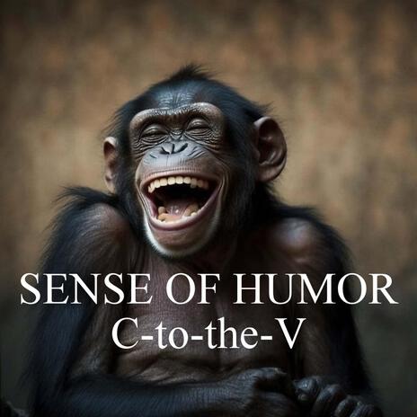 Sense of Humor | Boomplay Music