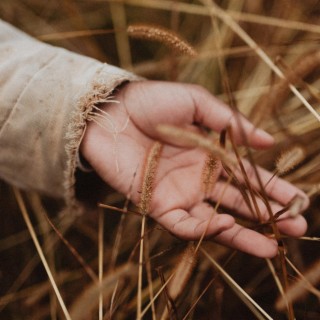 Lord of the harvest