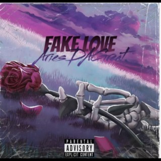 Fake Love