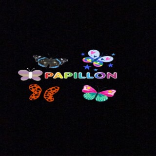 Papillon