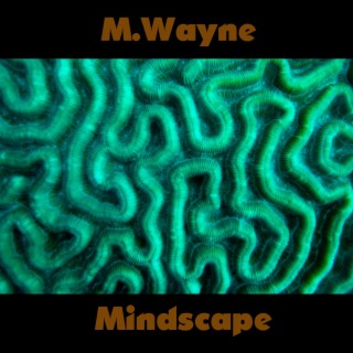 Mindscape