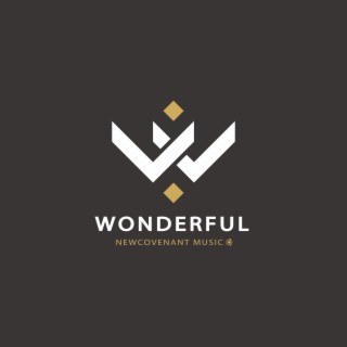 Wonderful lyrics | Boomplay Music