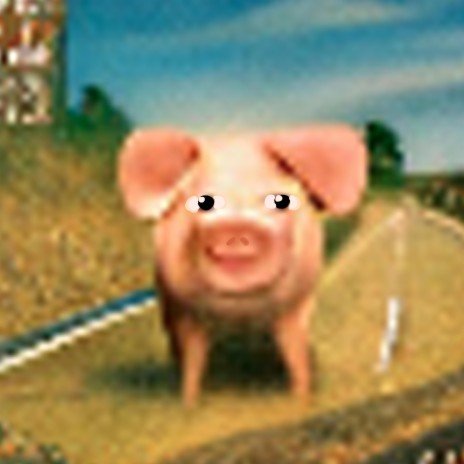 Pig In The Road
