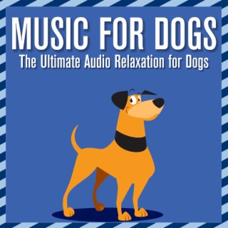 Music for Dogs: The Ultimate Audio Relaxation for Dogs