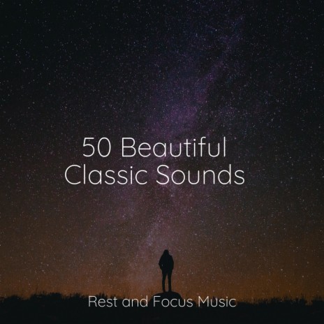 Forest Songs | Boomplay Music