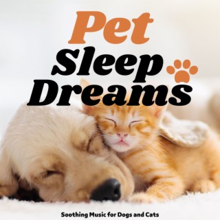 Pet Sleep Dreams: Soothing Music for Dogs and Cats