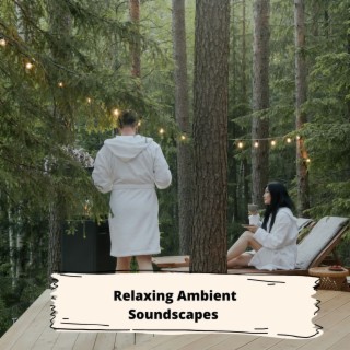 Relaxing Ambient Soundscapes