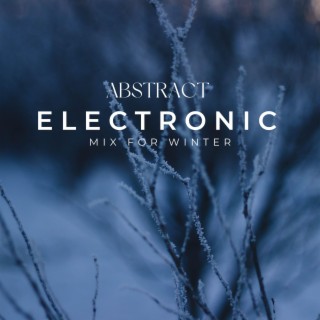 Abstract Electronic Mix For Winter